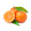 Satsuma Tangerine