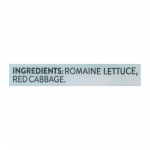 Fresh Express Italian Churchy Romaine Lettuce, 4 oz