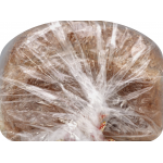 Arnold Whole Grains 100% Whole Wheat Bread, 24 oz