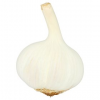 Garlic Bulk