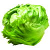 Dole Iceberg Lettuce, 1 lettuce