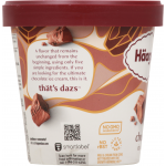 Haagen-Dazs Chocolate Ice Cream, 14 fl oz