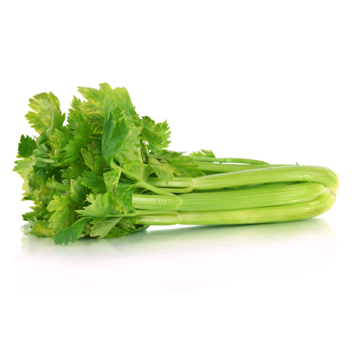 Celery Bunch