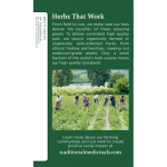 Traditional Medicinals Organic Lemon Balm Tea Bags Herbal Supplement, 16 tea bags