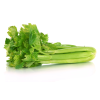 Celery Bunch