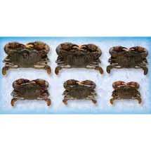 Handy Seafood Frozen Imported Prime Soft Shell Crabs, 2.50 oz 