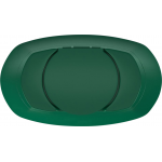 Irish Spring 5 in 1 Body Wash + Shampoo, 20 fl oz