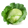Green Cabbage