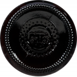 GT's Cola with Reishi Chaga Turkey Tail Ancient Mushroom Elixir, 16 fl oz