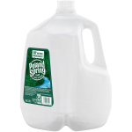 Poland Spring POLAND SPRING Brand 100% Natural Spring Water, 1-gallon plastic jug, 3.79 LTR