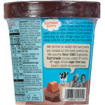 Ben & Jerry's Karamel Sutra Core Ice Cream, 1 pint
