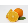 Navel Oranges
