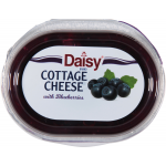 Daisy with Blueberries 4% Milkfat Minimum Cottage Cheese, 6 oz