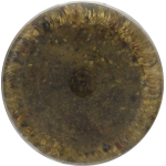 Briannas Herb Vinaigrette Avocado Oil Dressing, 10 fl oz