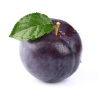 Plout Plums
