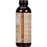 GT's Root Beer Ancient Mushroom Elixir, 16 fl oz